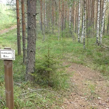 Semesterbostad Cabin Kerimaa 55 *